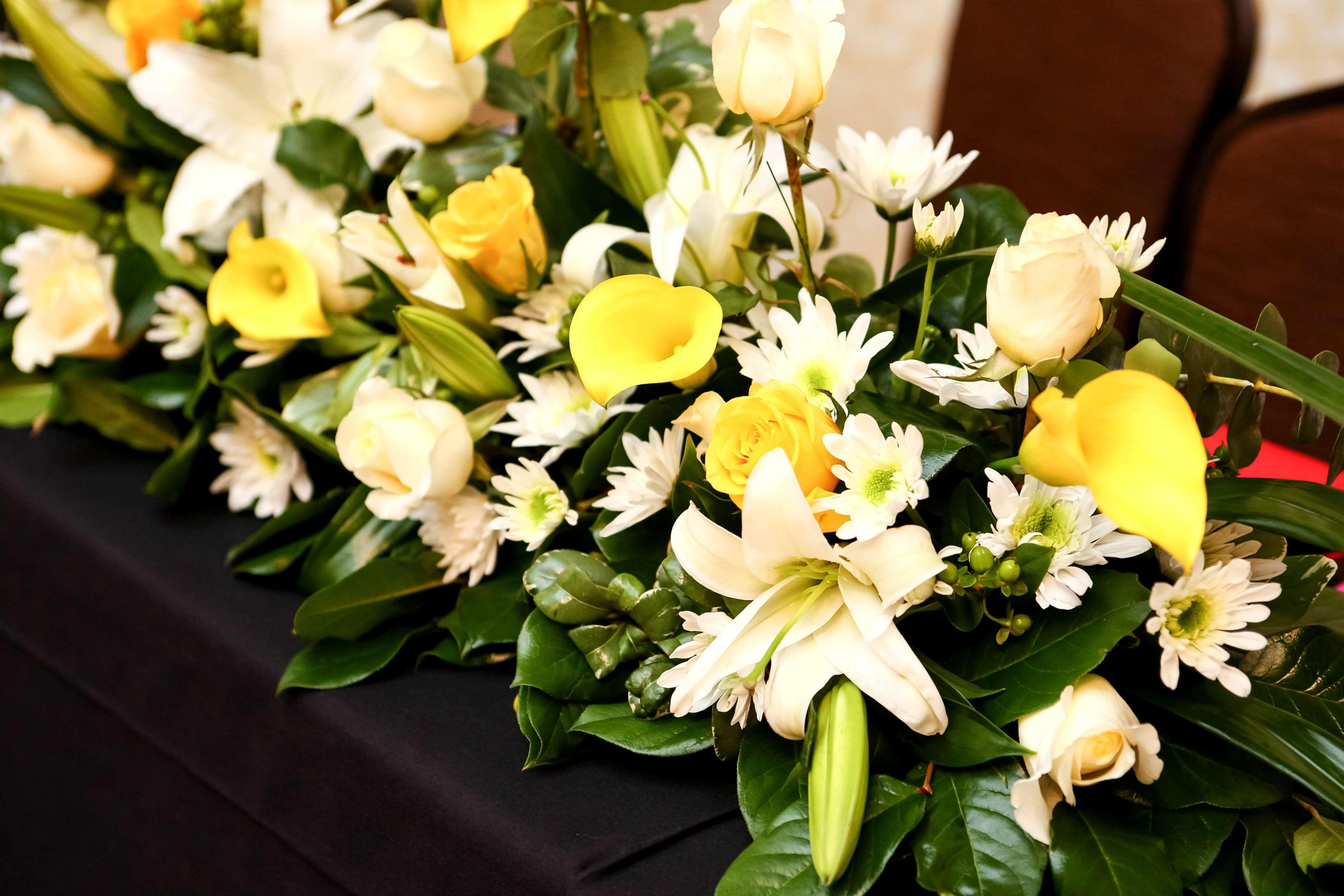 Hilton Garden Inn San Antonio-Live Oak Conference Center Buitenkant foto